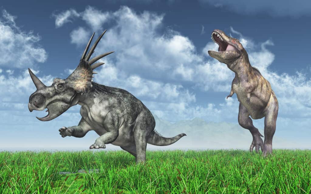 Styracosaurus