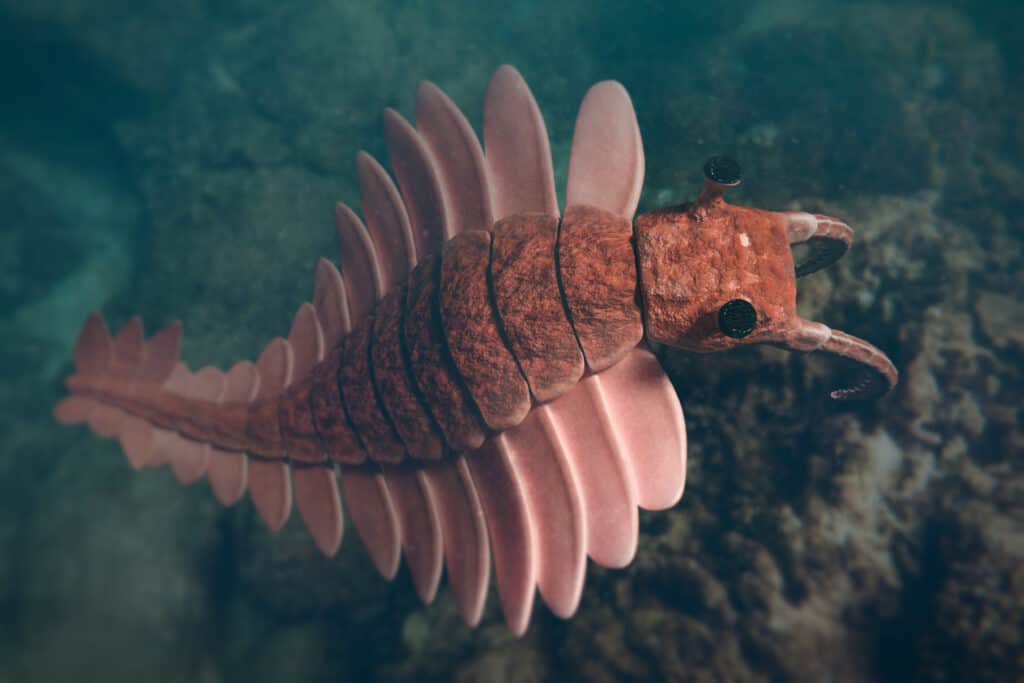 Anomalocaris was the Earth's first super predator