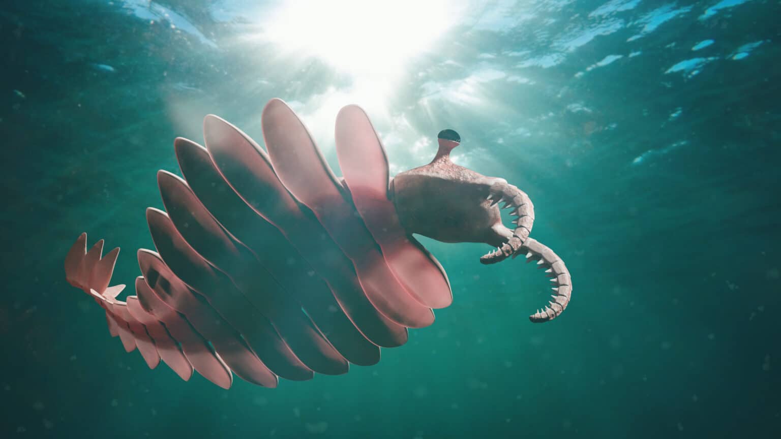 Discover One of Earth's First Super Predators A ShrimpLike Creature