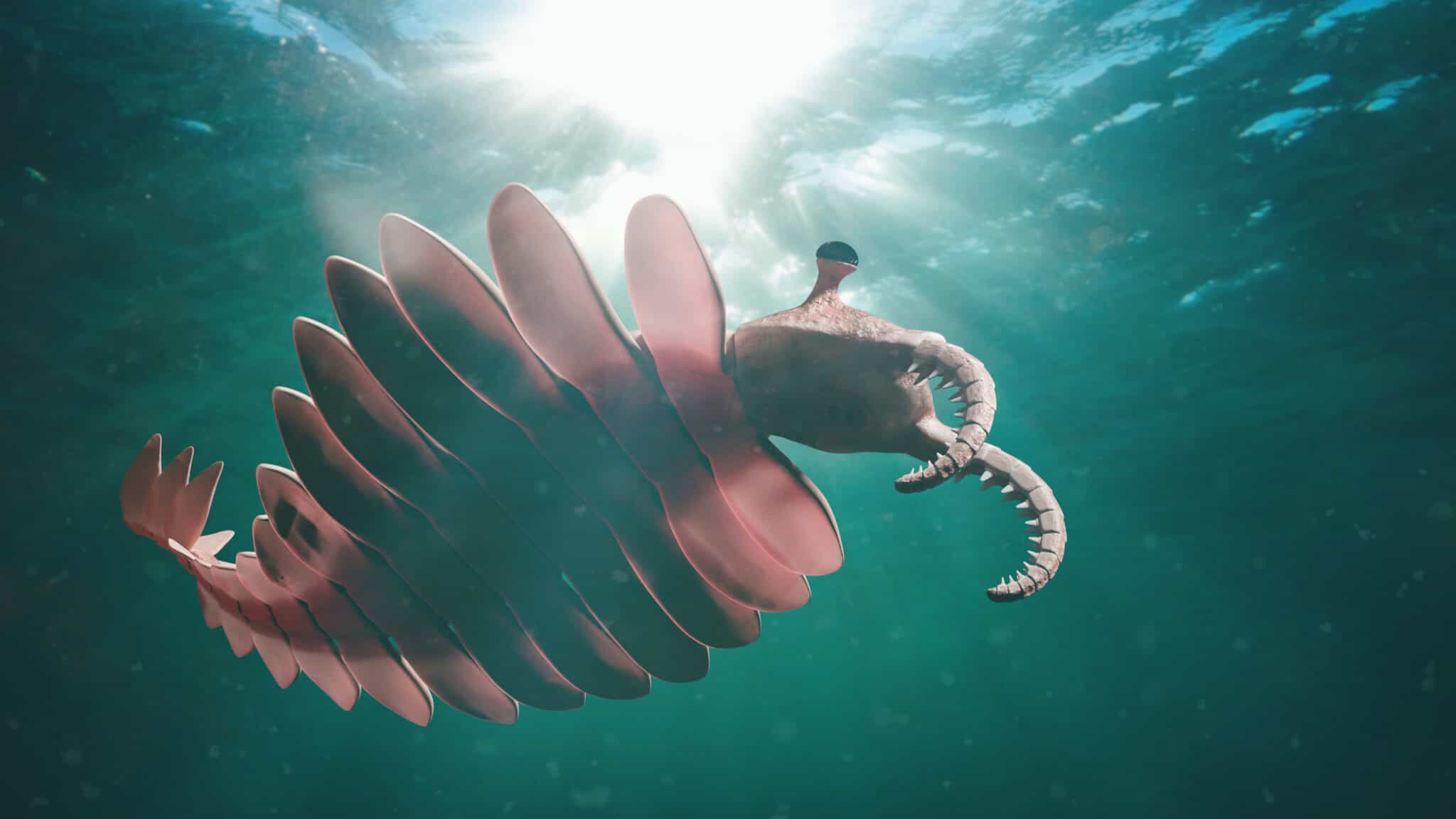 Cambrian Period: Facts, Information, and Timeline - A-Z Animals