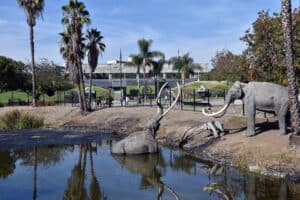 Meet The Holy Grail of Ice Age Fossils: The La Brea Tar Pits Picture