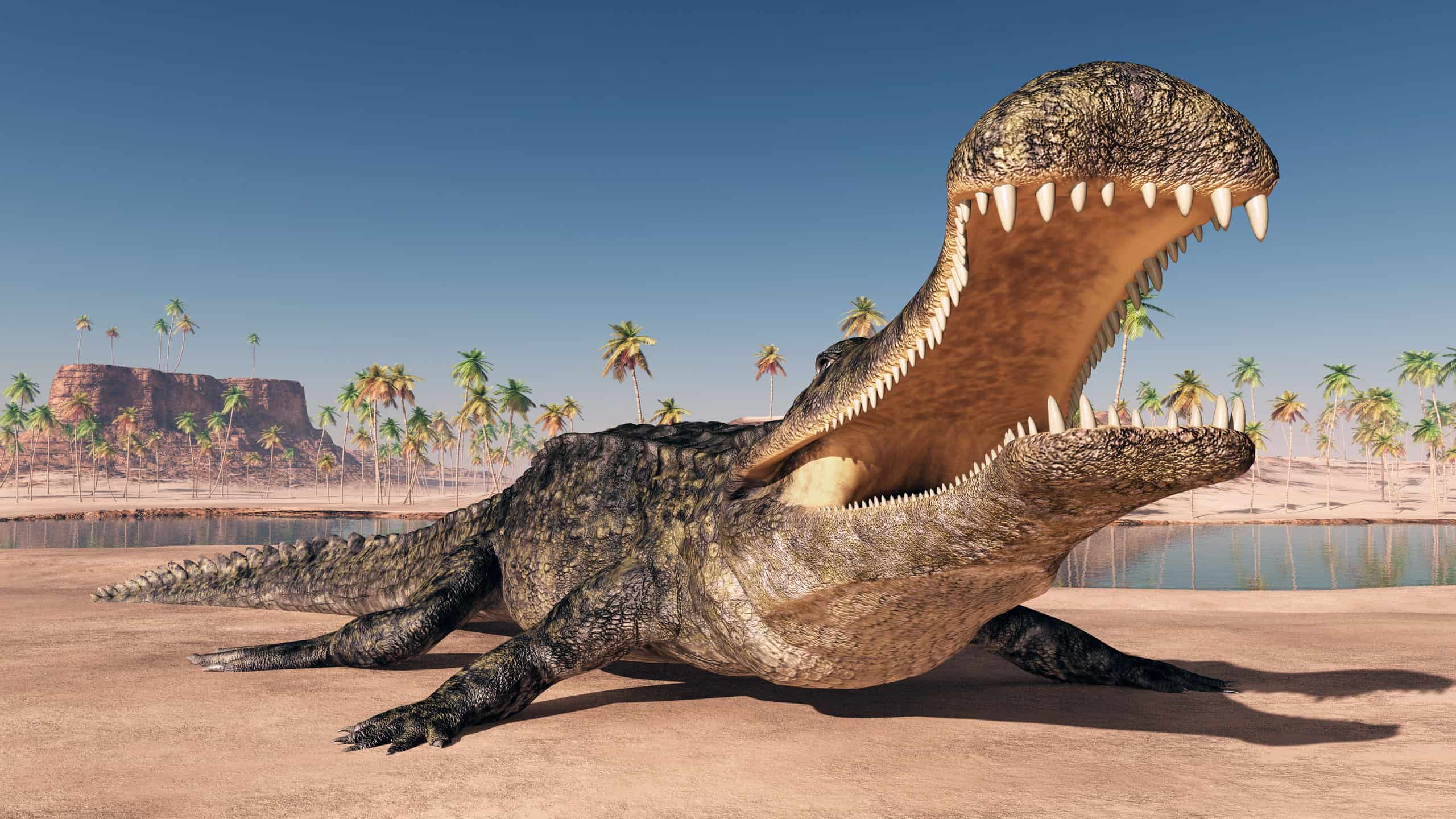 Meet the Ancient Crocodile Twice the Size of a Car, and with 100 Razor  Teeth - AZ Animals