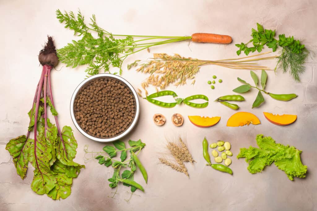 Vegan dog food and raw vegetable ingredients