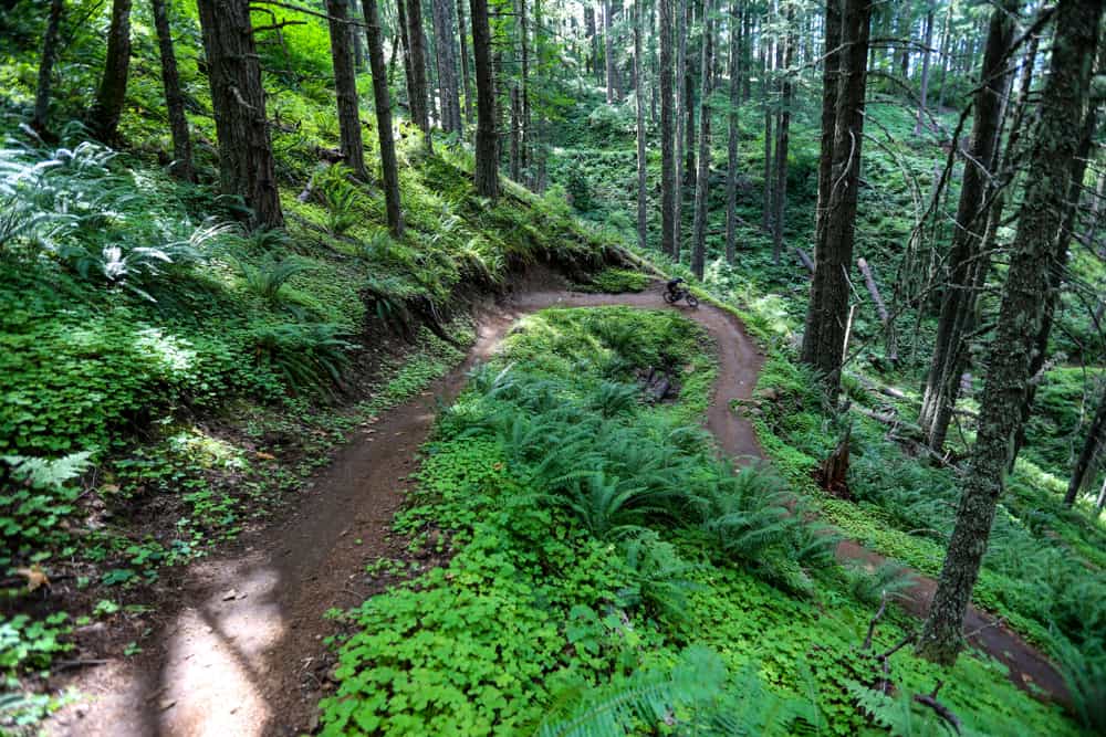 Oregons longest biking trail