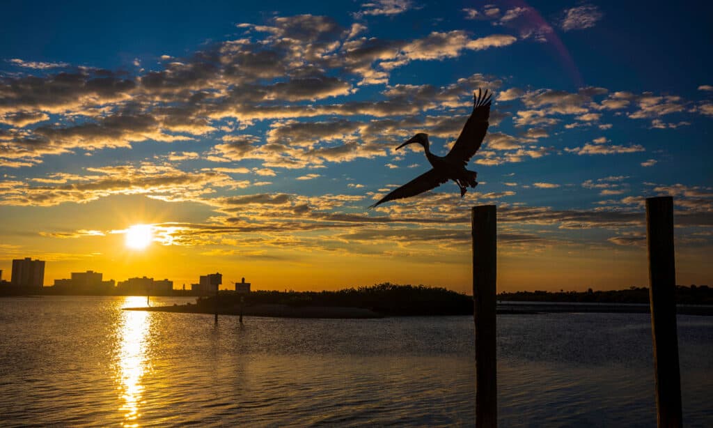 Halifax River Florida