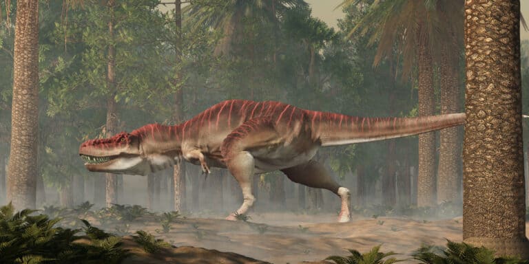 Tarbosaurus