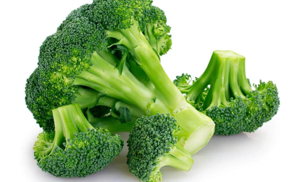 Broccolini vs bông cải xanh