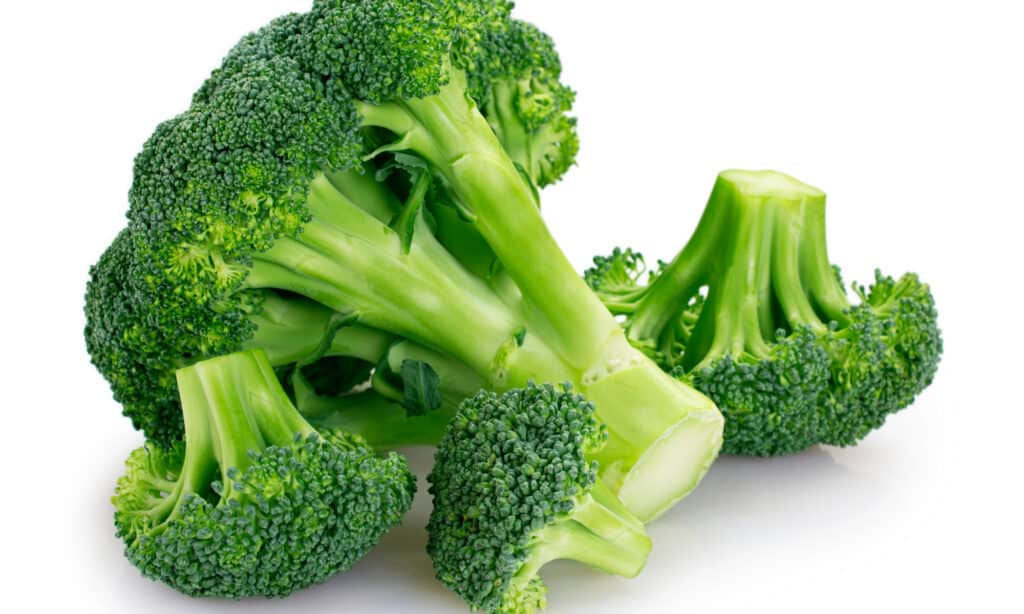 Broccolini vs Broccoli