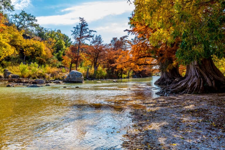 Guadalupe State Park Texas