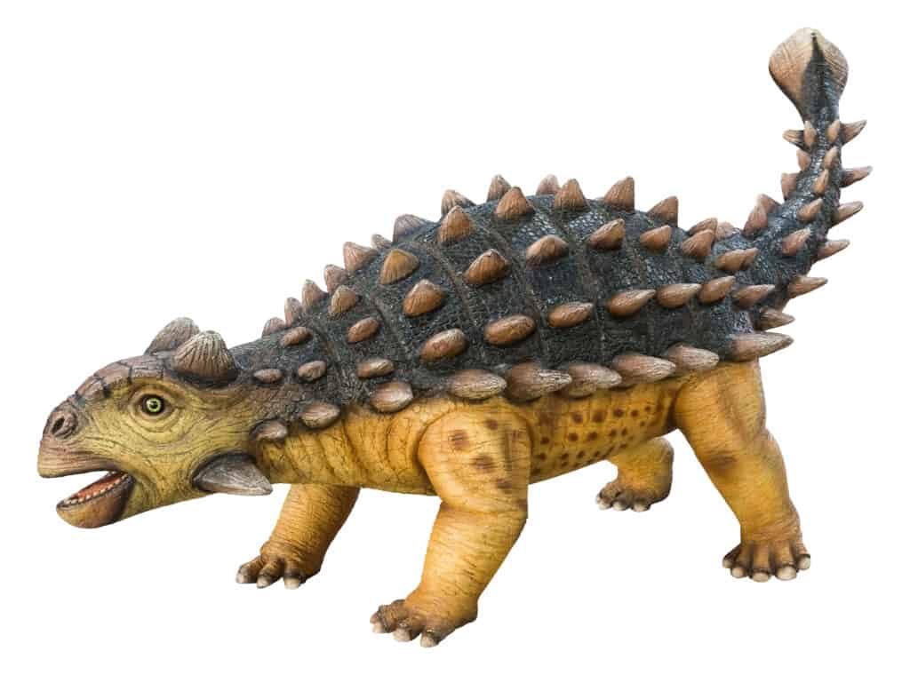 Euoplocephalus