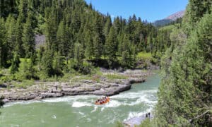 Discover the 8 Best Rivers for Whitewater Rafting in Alabama Picture
