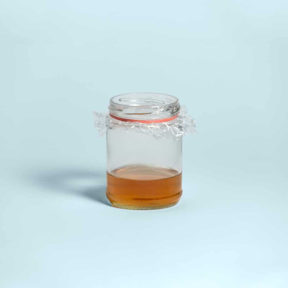 Fruit fly trap on blue background