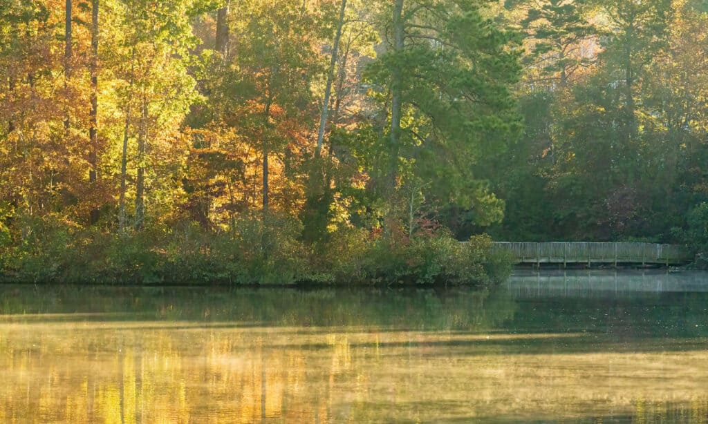 Lake Lynn North Carolina