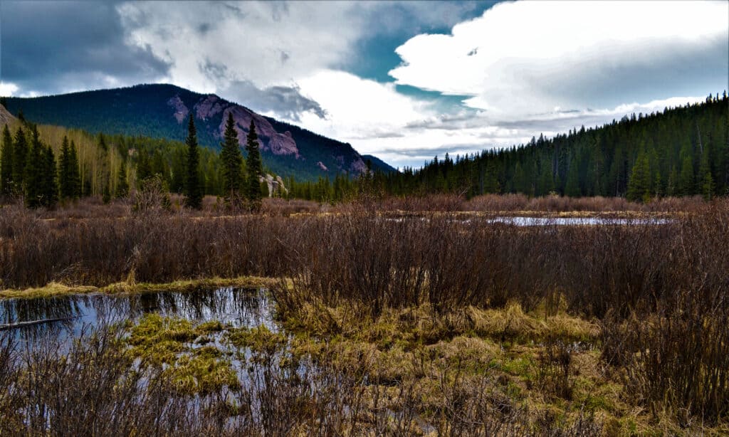 Lost Creek Wilderness