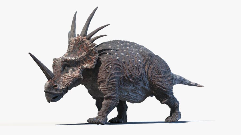 Styracosaurus