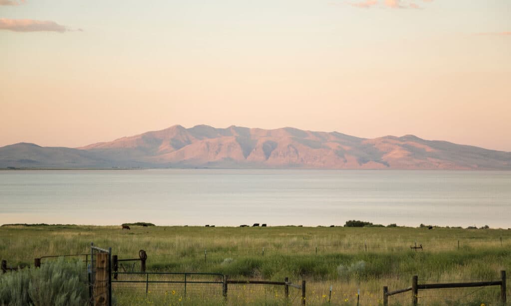 Honey Lake California