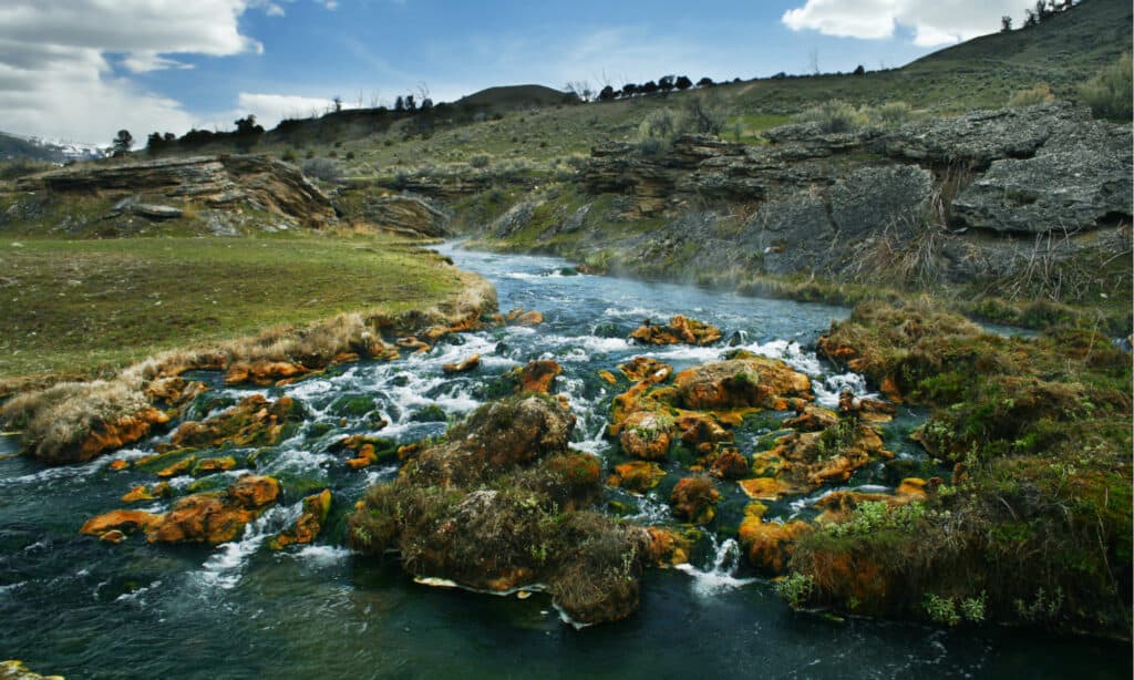 Yellowstone Horseback Riding