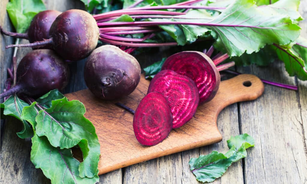 Beet vs Radish