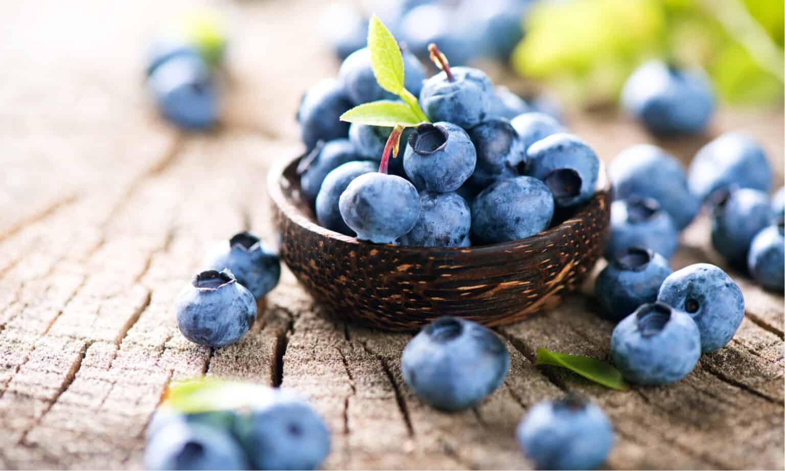 Huckleberries vs Blueberries: Is There a Difference? - A-Z Animals