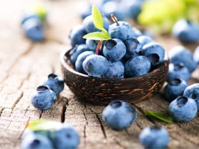 A Too Many Blueberries? 11 Ways to Make Great Use of a Huge Harvest