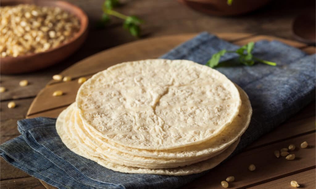 are corn tortillas safe for dogs to eat