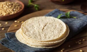 Can Your Dog Eat Tortillas Safely? (Corn, Wheat, Flour) Picture