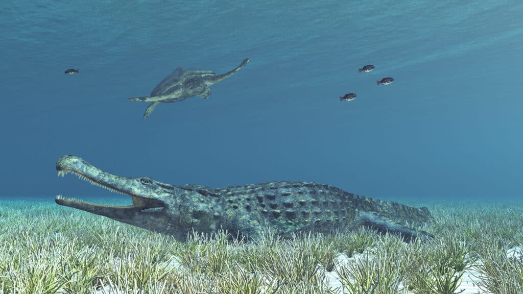 Sarcosuchus in the water