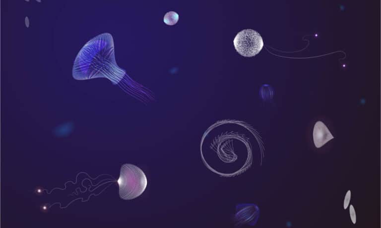 Mariana trench