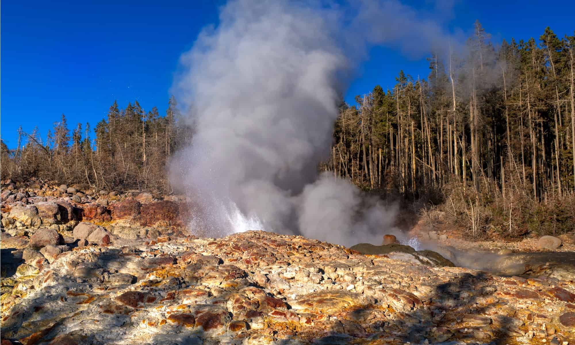 best geysers in yellowstone