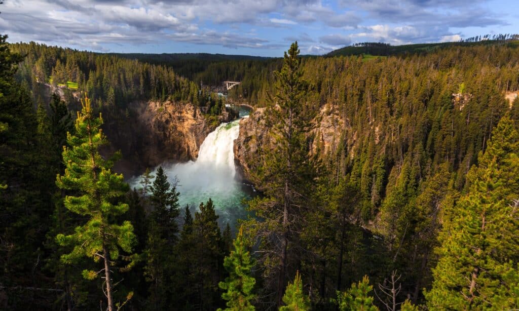 Upper Falls of the Yellowstone River