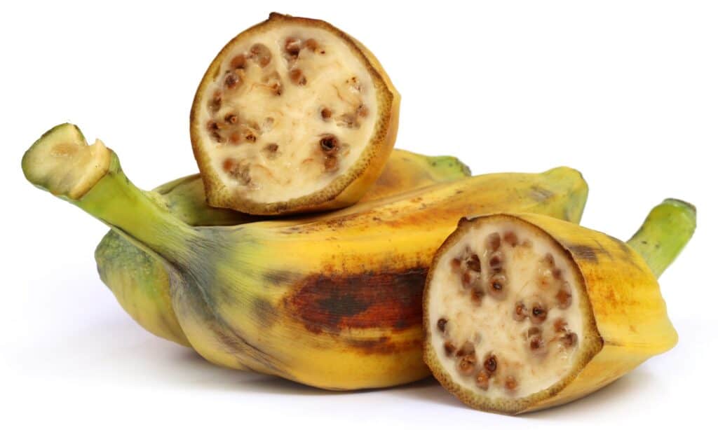 Plantain vs Banana