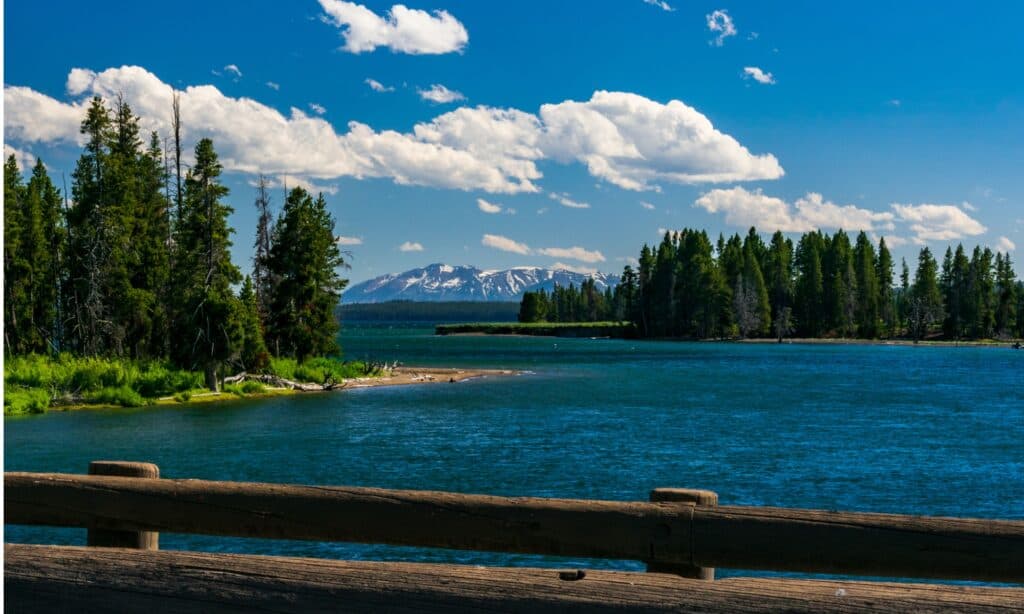 Upper Falls of the Yellowstone River