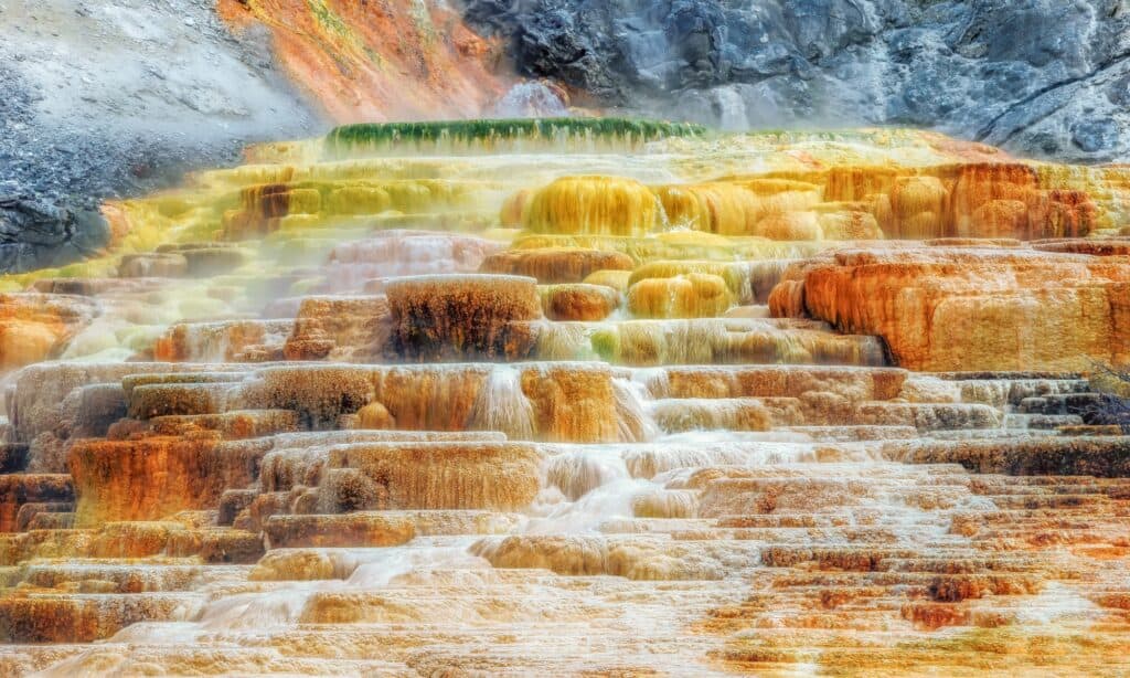 best geysers in yellowstone