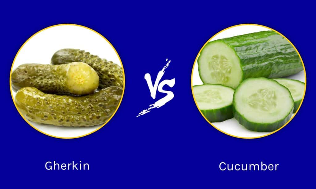 Gherkin vs Cucumber