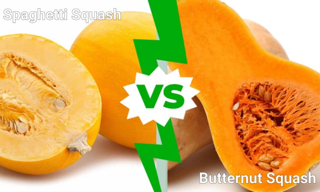 Spaghetti Squash vs Butternut Squash