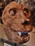 Giant sloth lemur
