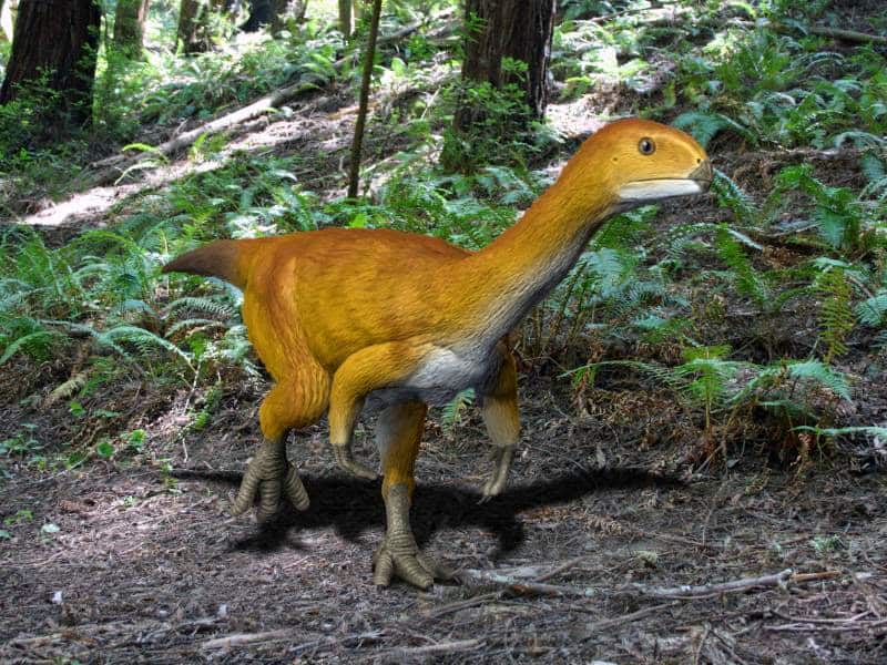 3D artist rendering of Chilesaurus