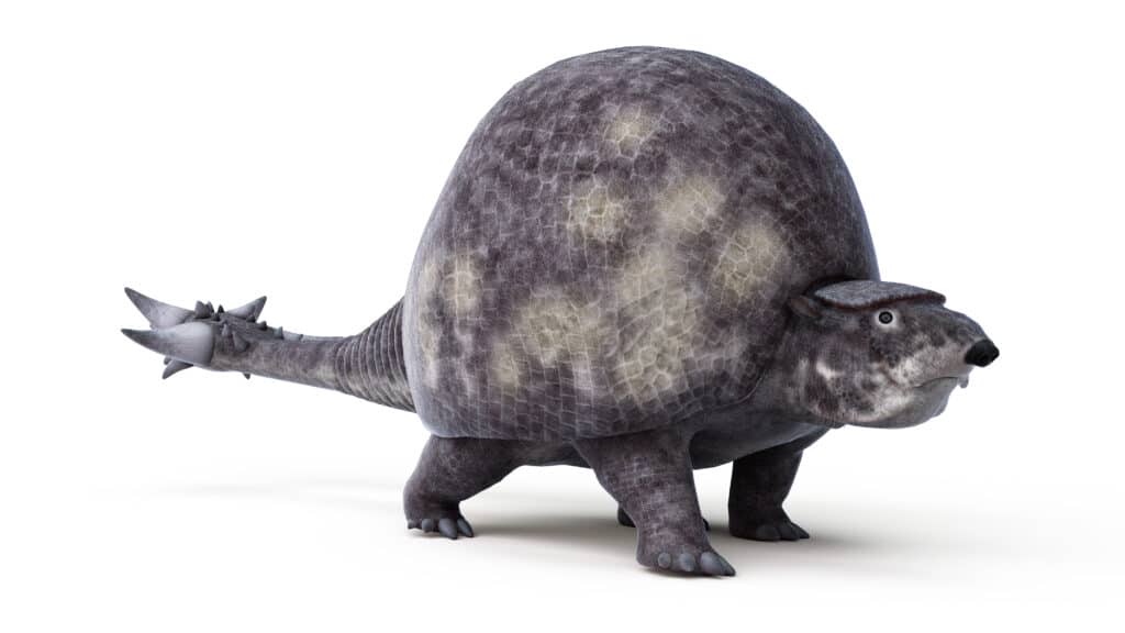Doedicurus 3D illustration