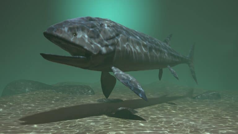 3-D Rendered Illustration of Leedsichthys in Water