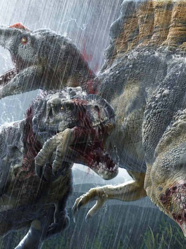 Top 10 Largest Carnivorous Dinosaurs