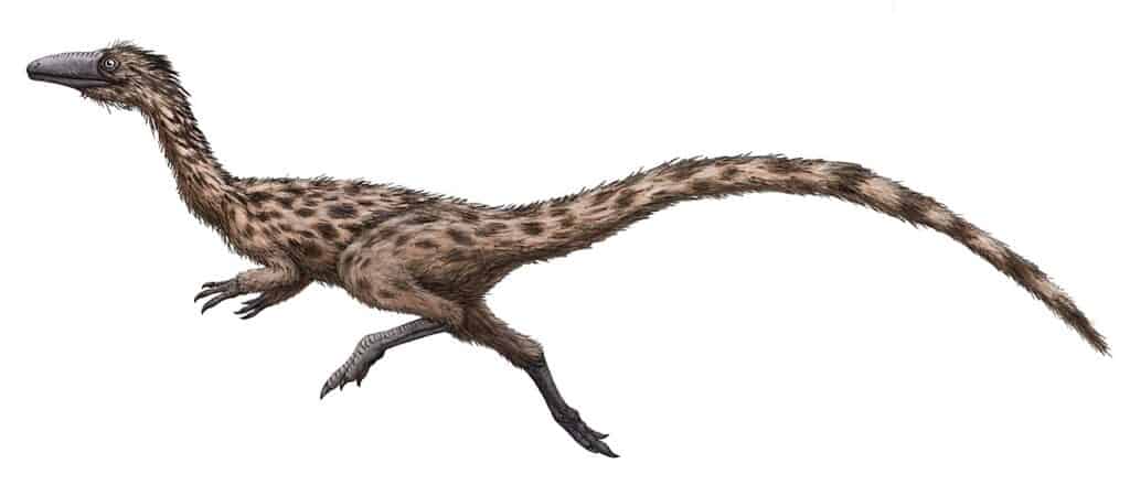 Podokesaurus fossils were found in Mount Holyoke, Massachusetts. 