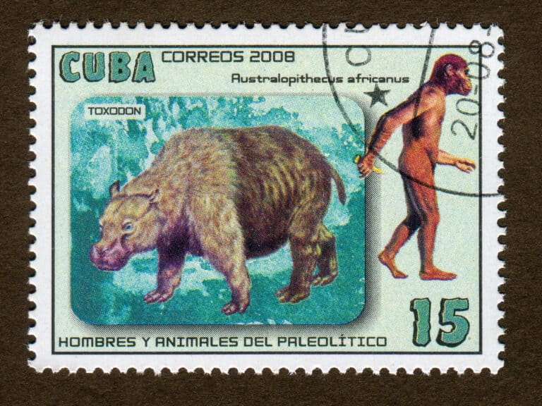 Toxodon