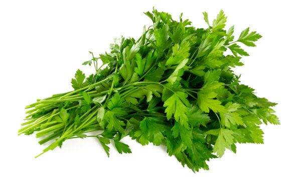 Parsley vs Cilantro: 5 Key Differences - A-Z Animals