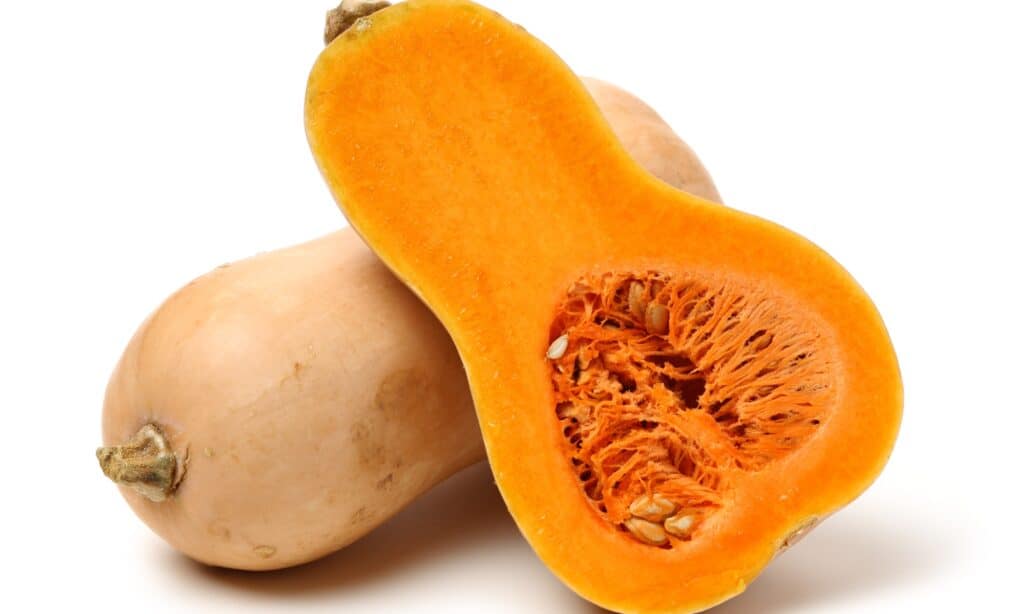 Butternut squash was developed in 1944 and is a cross between a gooseneck squash and a Hubbard squash.