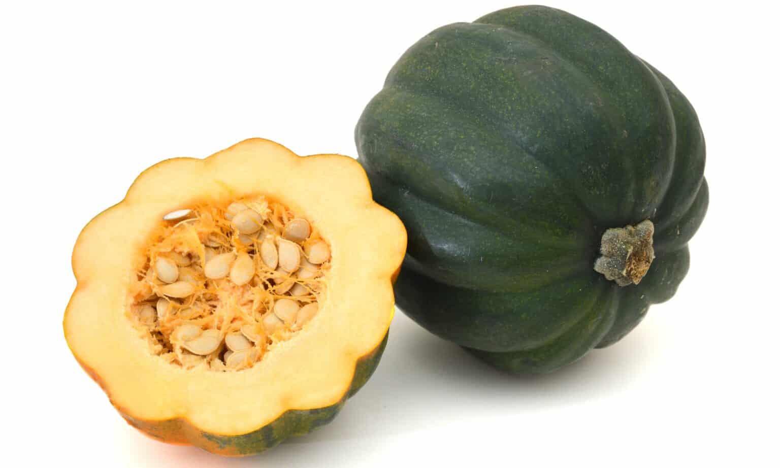 is-squash-a-fruit-or-vegetable-a-z-animals