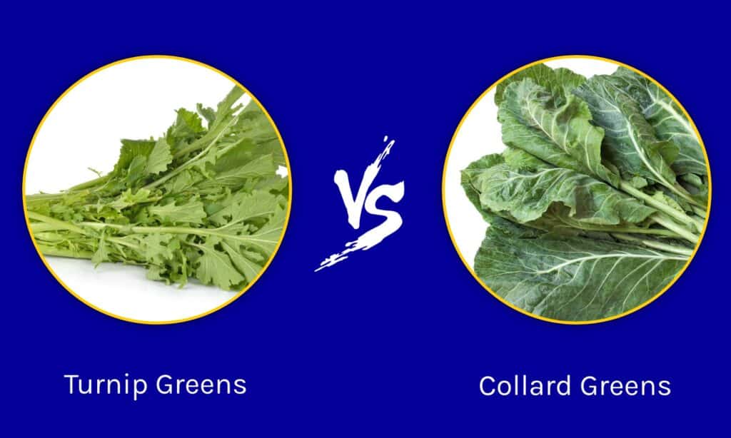 Turnip Greens vs Collard Greens