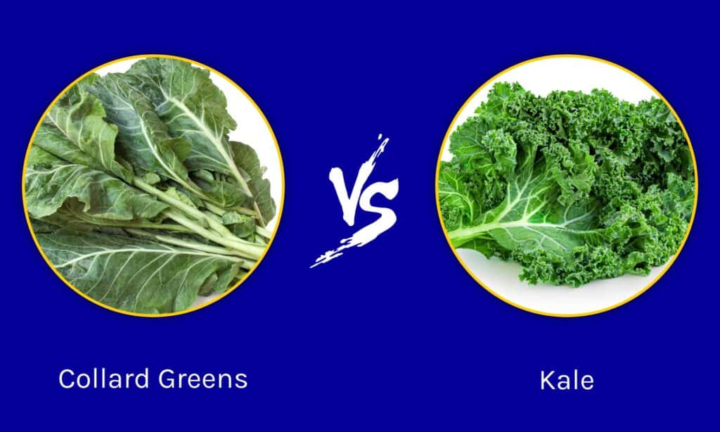 Collard Greens vs Kale