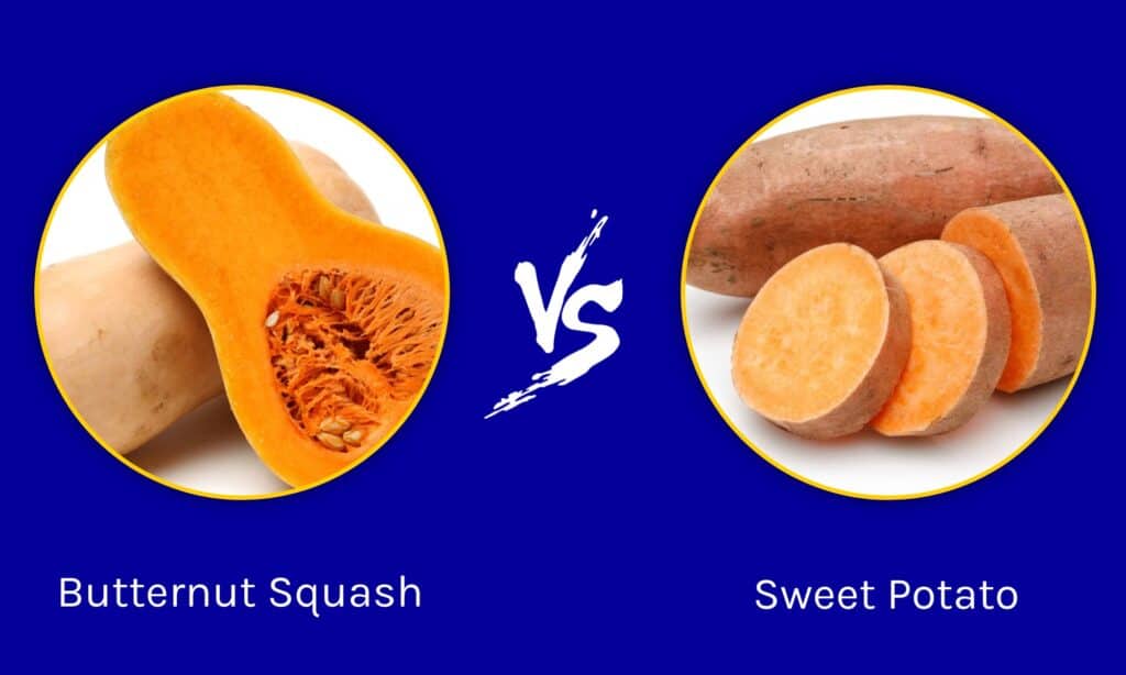 Butternut Squash vs Sweet Potato