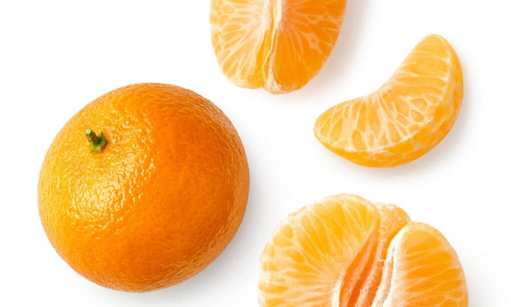 Tangerines are a type of fruit that is considered to be safe for dogs to eat.