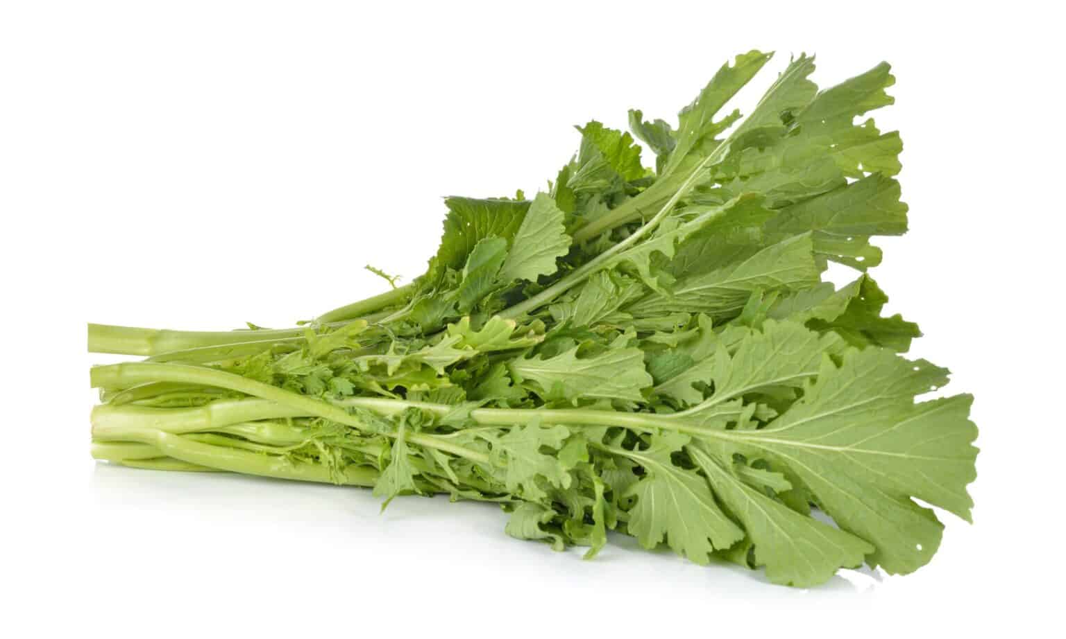 Turnip Greens vs Collard Greens: What’s the Difference? - A-Z Animals